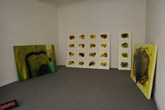 Giordano Montorsi, Installation2011